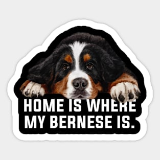 Bernese mountain dog Sticker